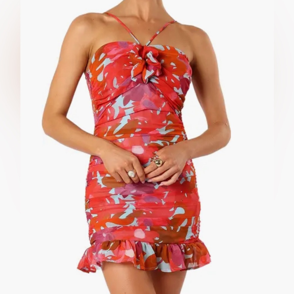 Petal & Pup Red and Pink Mini Dress